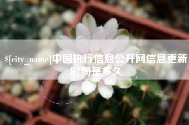 孝义中国执行信息公开网信息更新时间是多久