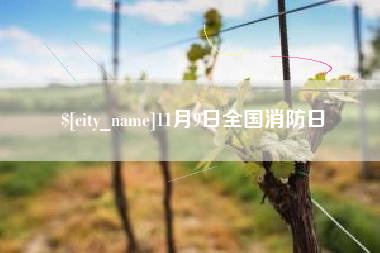 孝义11月9日全国消防日