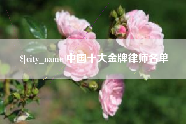孝义中国十大金牌律师名单