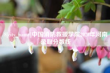孝义中国消防救援学院2020年河南录取分数线
