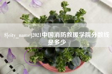 孝义2021中国消防救援学院分数线是多少