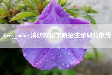 孝义消防救援学院招生录取分数线