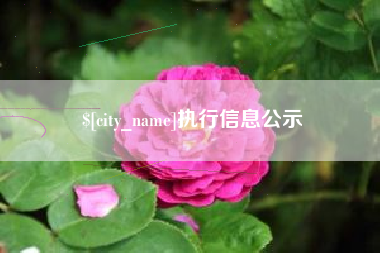 孝义执行信息公示
