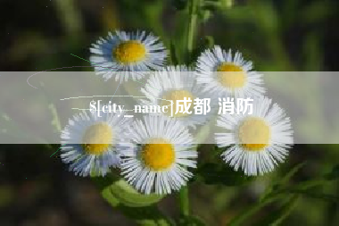 孝义成都 消防