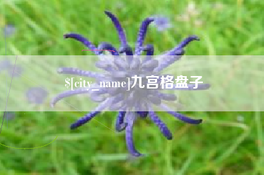 孝义九宫格盘子