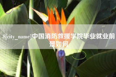 孝义中国消防救援学院毕业就业前景如何