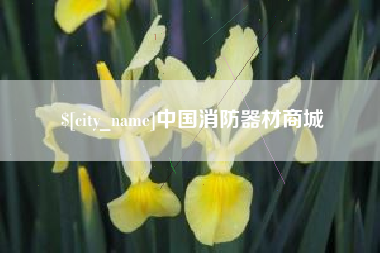 孝义中国消防器材商城