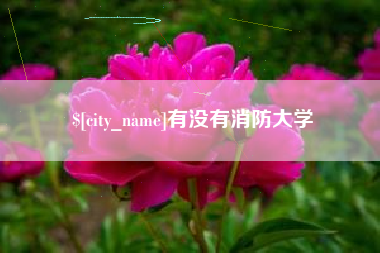 孝义有没有消防大学