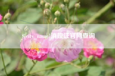 孝义消控证官网查询