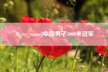 孝义中国男子5000米冠军
