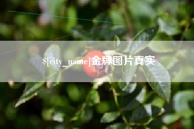 孝义金牌图片真实