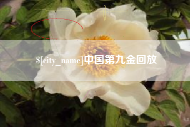 孝义中国第九金回放