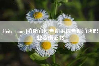 孝义消防官网查询系统查询消防职业资格证书