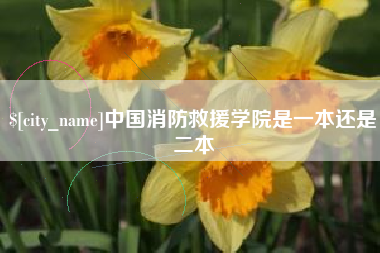 孝义中国消防救援学院是一本还是二本