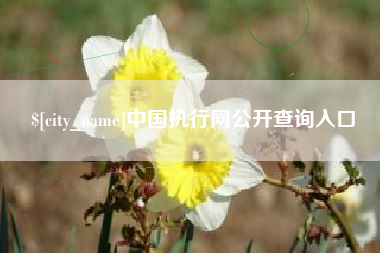 孝义中国执行网公开查询入口