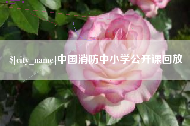孝义中国消防中小学公开课回放