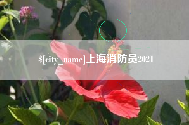 孝义上海消防员2021