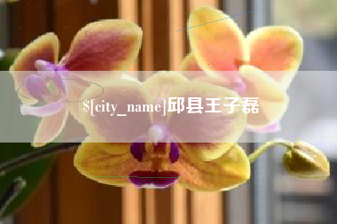 孝义邱县王子磊
