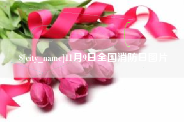 孝义11月9日全国消防日图片