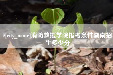 孝义消防救援学院报考条件湖南招生多少分