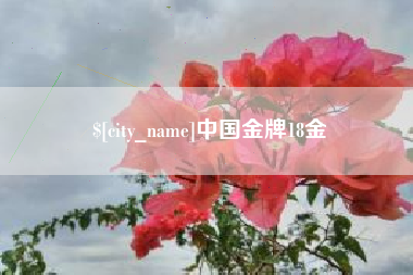 孝义中国金牌18金