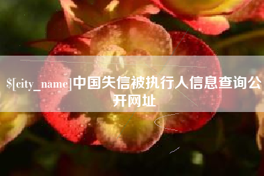 孝义中国失信被执行人信息查询公开网址