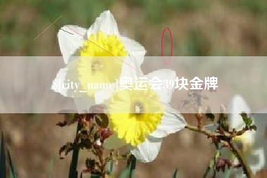 孝义奥运会39块金牌