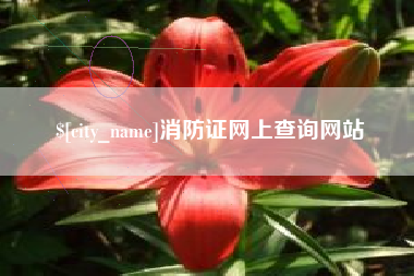 孝义消防证网上查询网站