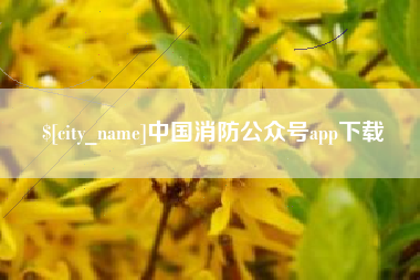 孝义中国消防公众号app下载