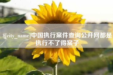 孝义中国执行案件查询公开网都是执行不了得案子