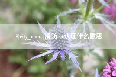 孝义消防ccc认证什么意思