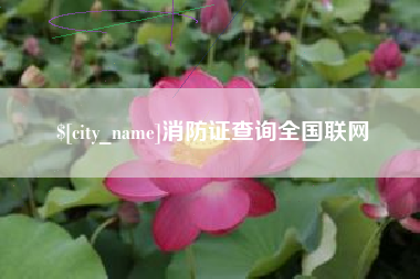 孝义消防证查询全国联网