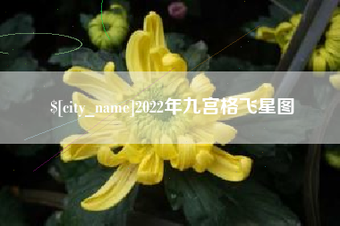 孝义2022年九宫格飞星图