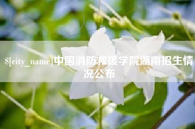 孝义中国消防救援学院湖南招生情况公布