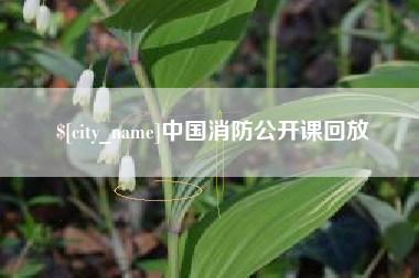孝义中国消防公开课回放