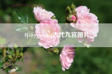 孝义古代九宫图片