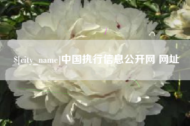 孝义中国执行信息公开网 网址