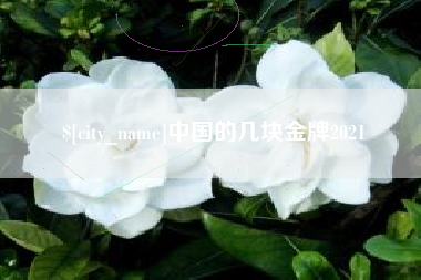 孝义中国的几块金牌2021