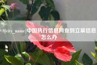 孝义中国执行信息网查到立案信息怎么办