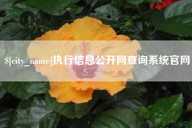 孝义执行信息公开网查询系统官网
