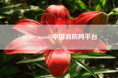 孝义中国消防网平台