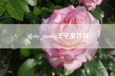 孝义王子豪百科