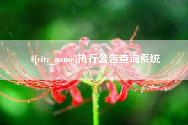 孝义执行公告查询系统