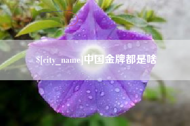 孝义中国金牌都是啥