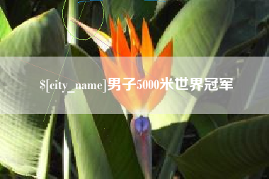 孝义男子5000米世界冠军