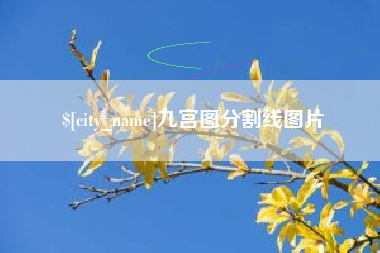 孝义九宫图分割线图片