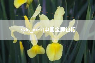 孝义中国金牌包括