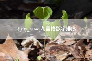 孝义九宫格数字排序