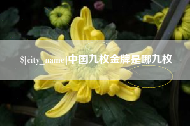 孝义中国九枚金牌是哪九枚