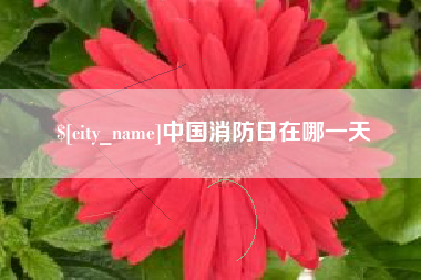 孝义中国消防日在哪一天